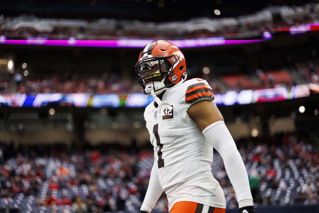 AFC Wild Card Playoffs - Cleveland Browns v Houston Texans