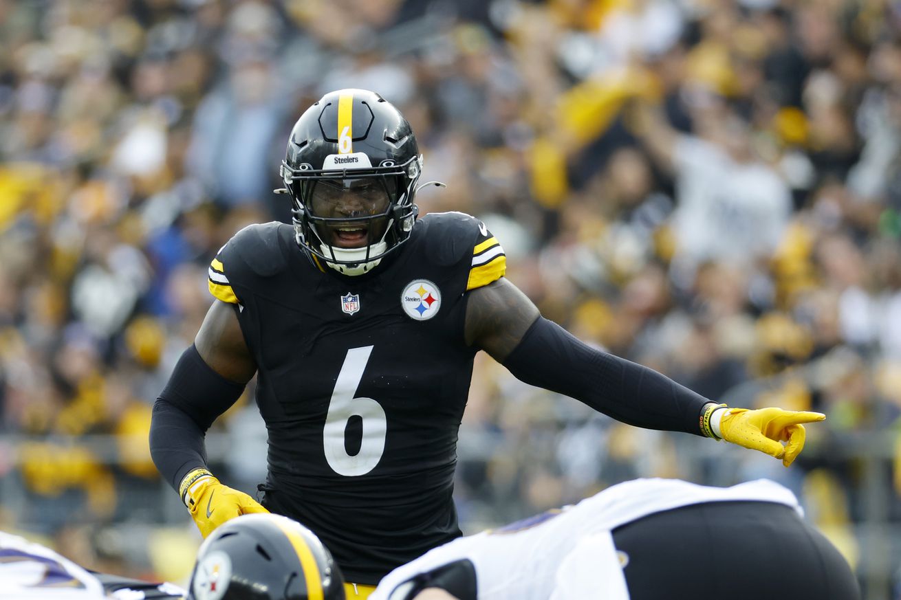 Baltimore Ravens v Pittsburgh Steelers