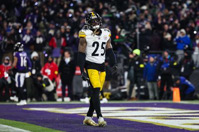 AFC Wild Card Playoffs: Pittsburgh Steelers v Baltimore Ravens