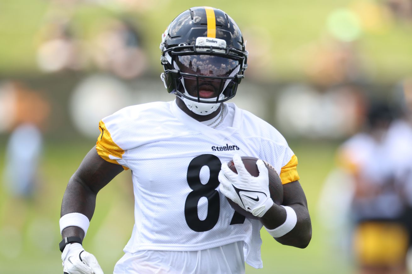 NFL: Pittsburgh Steelers Training Camp
